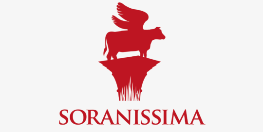 zoratti-studio-soranissima-09